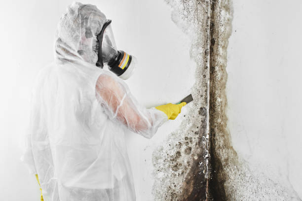 Tchula, MS Mold Remediation Company