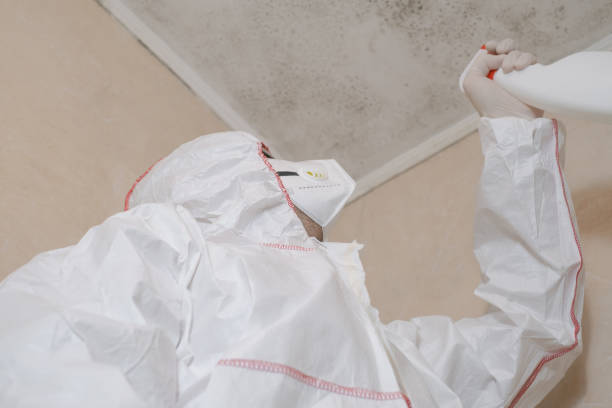 Best Industrial Mold Remediation in Tchula, MS