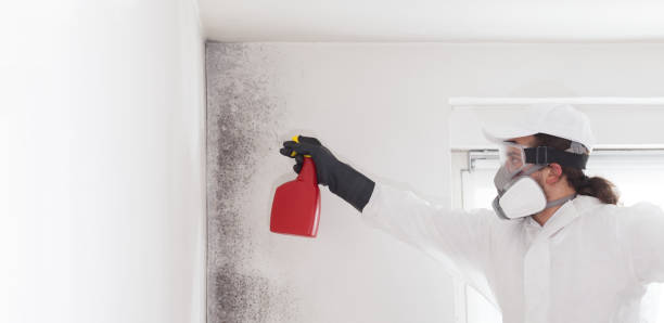 Best Bathroom Mold Remediation in Tchula, MS